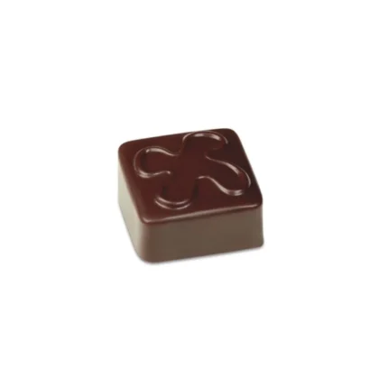 Pavoni PC Choc Mould ARTISANAL PC103